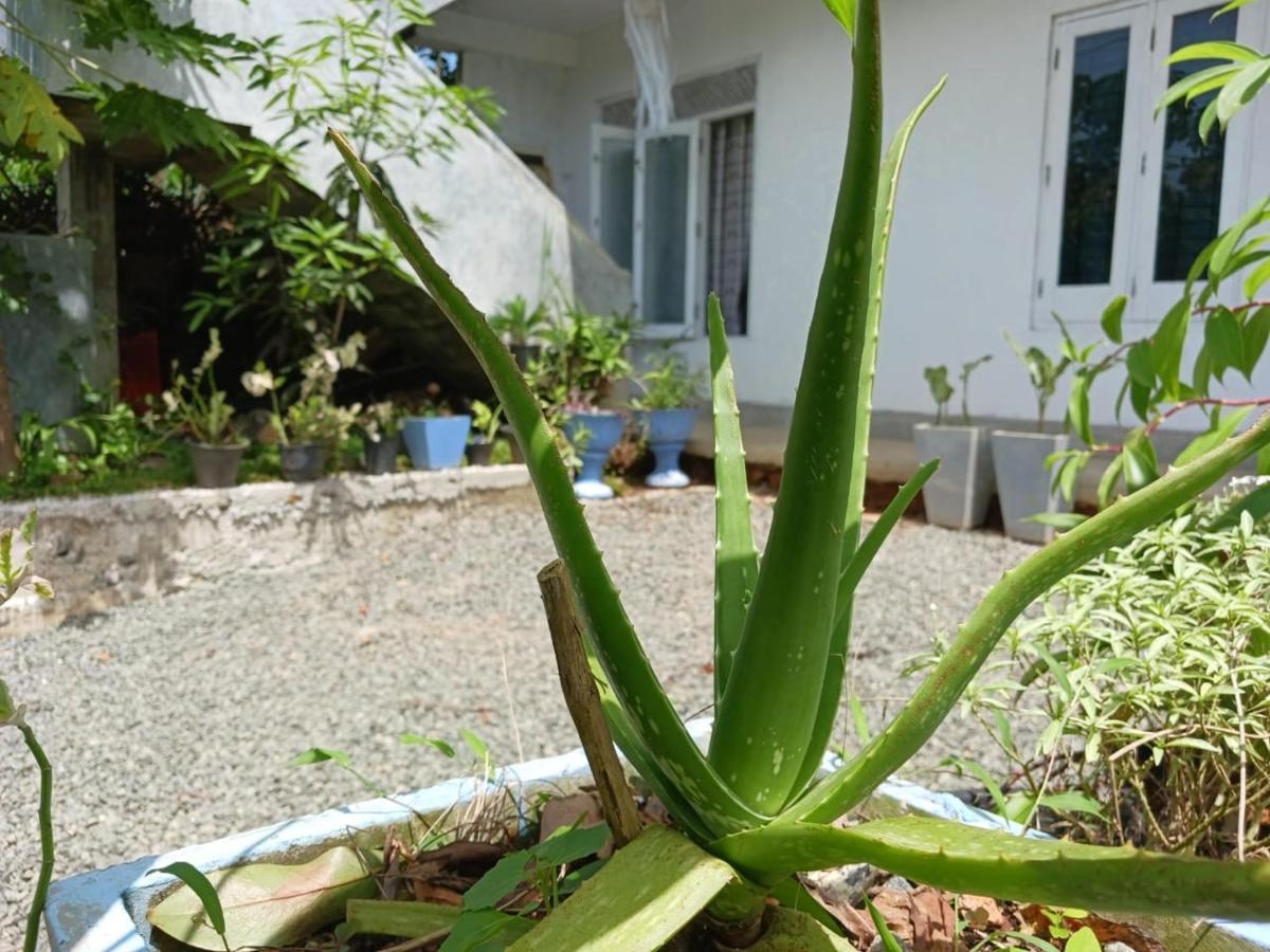 Villa Diamond Nest Unawatuna Kültér fotó